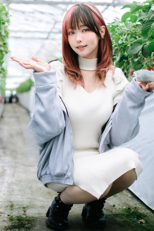 Elyeee Strawberry Picking Date