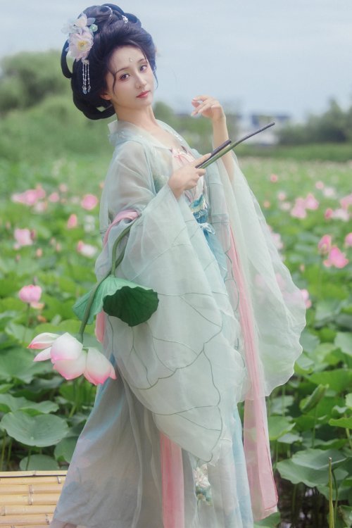 风吹荷花香 飘飘不吃草