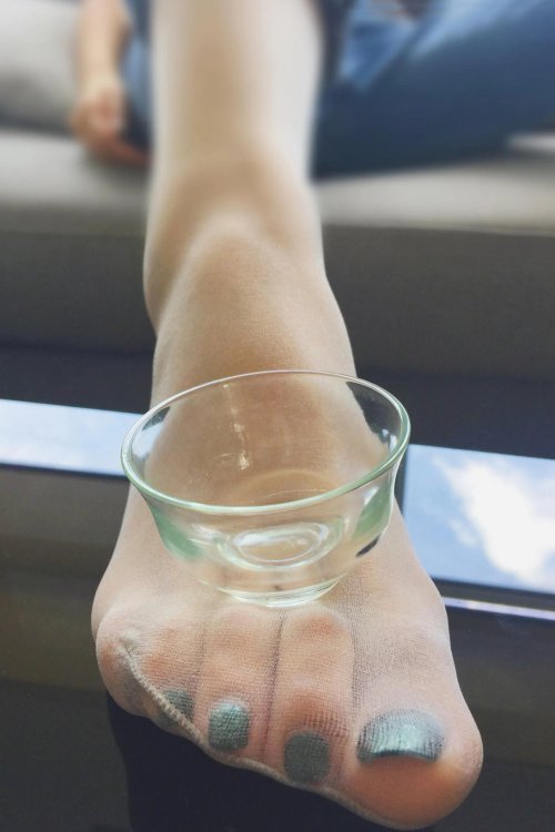 袜小喵玩物 茶杯