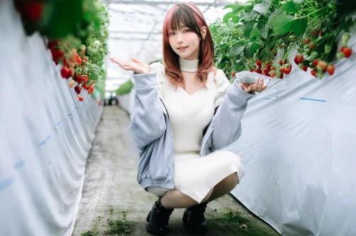 Elyeee Strawberry Picking Date
