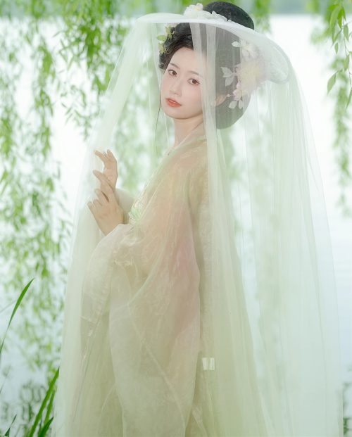 杨柳依依 知时
